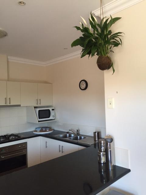 Salt Air On Lochard Place Apartment วอร์นามบูล ภายนอก รูปภาพ